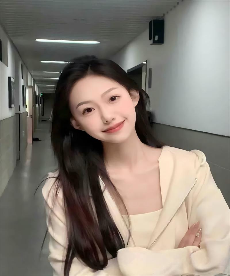 欧美人动物ppt免费模板大全,在线视频网站